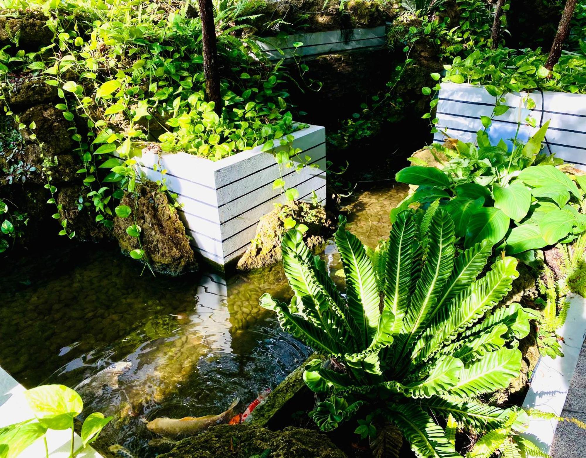 D Eco * Pattaya