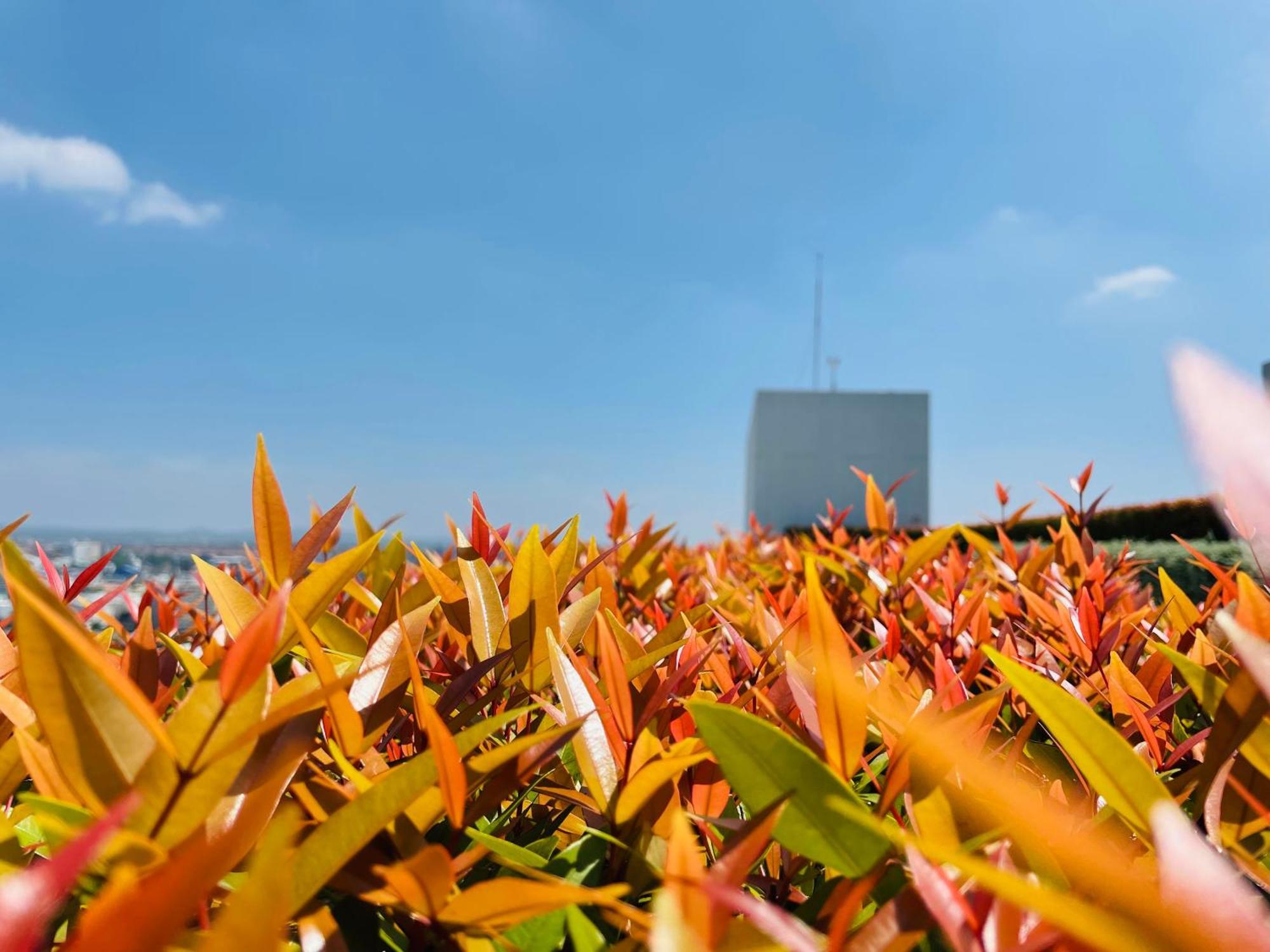 Apartment The Base By Numam 338 *