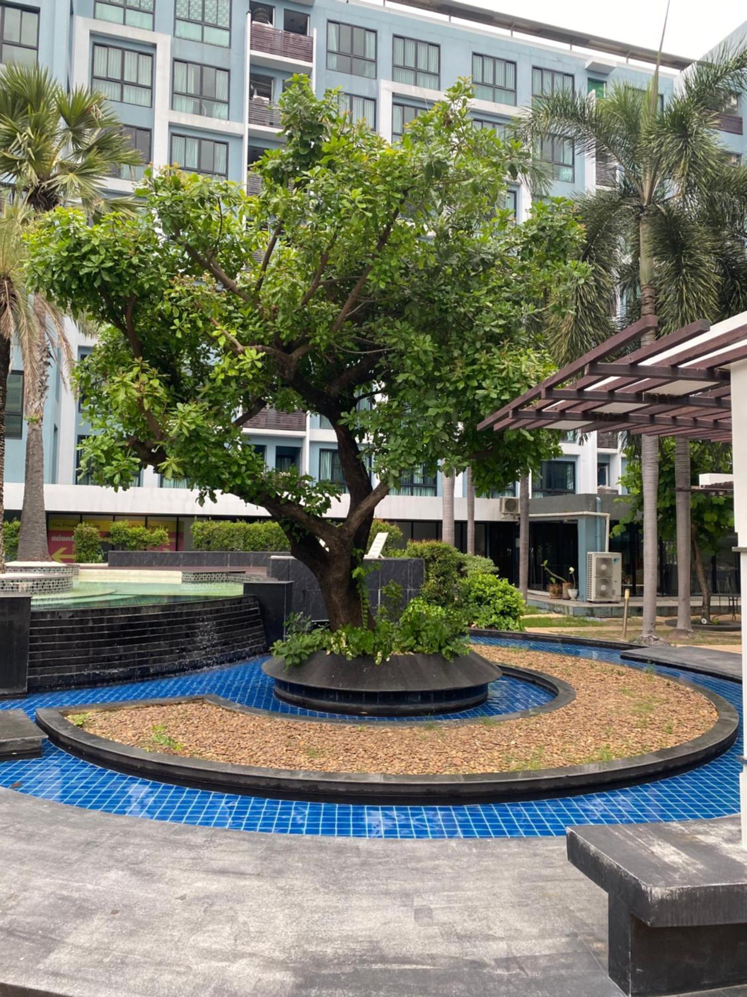 Apartment Minnie 7 *