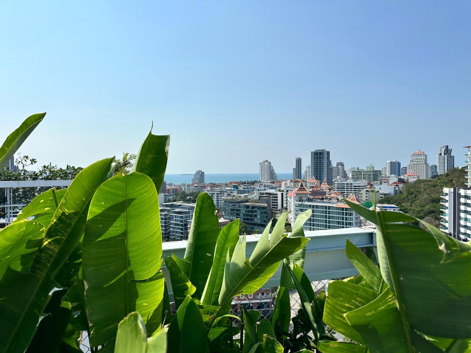 Jomtien Treetops