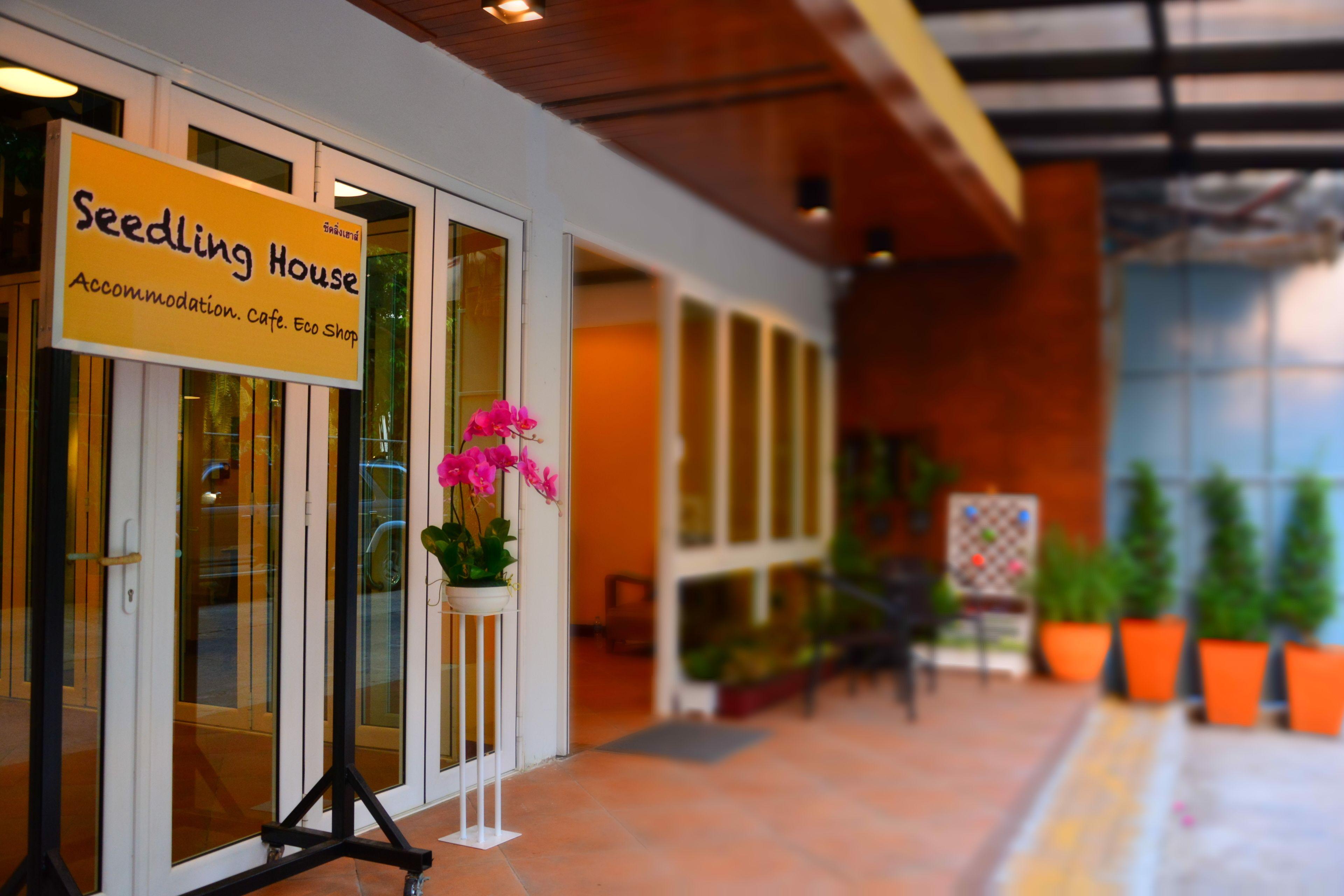 Guest house Seedling House 2*