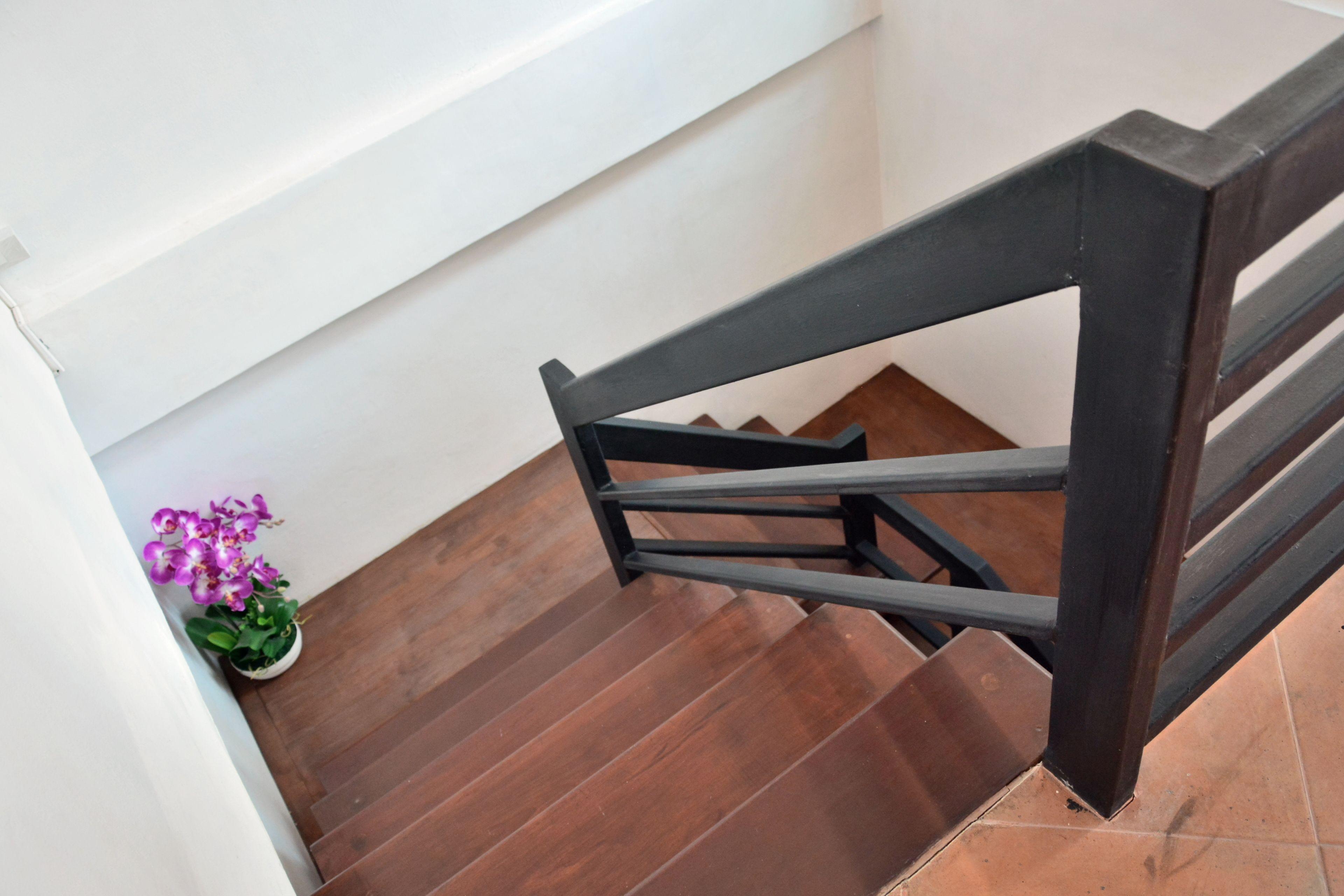 Seedling House Guest house 2*