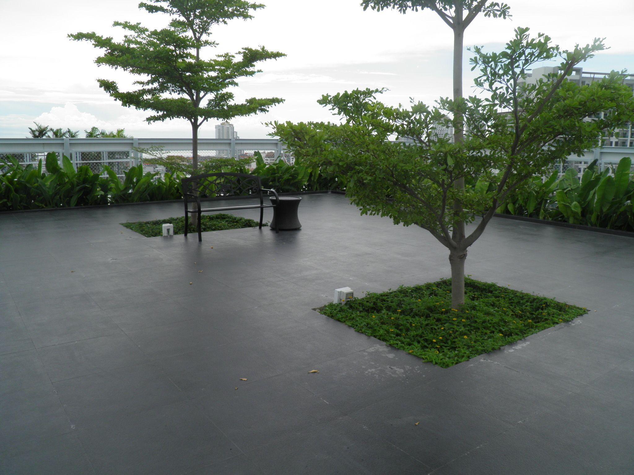 Treetops 615 By Axiom Group Hotel