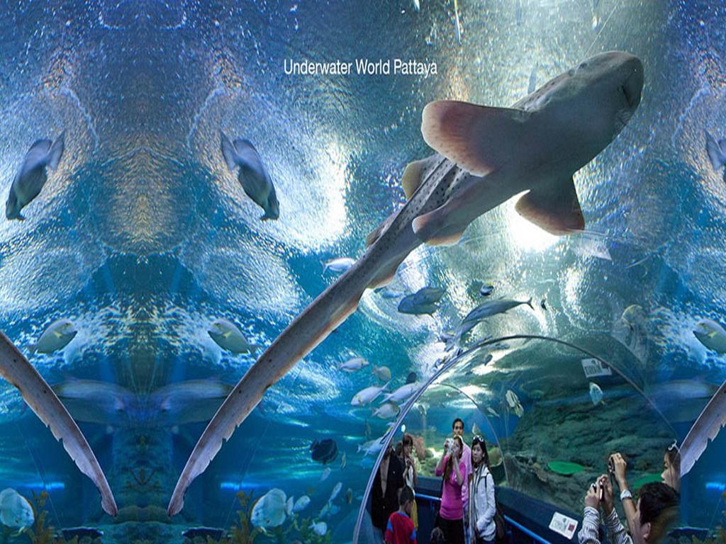 Punyapha Place Pattaya