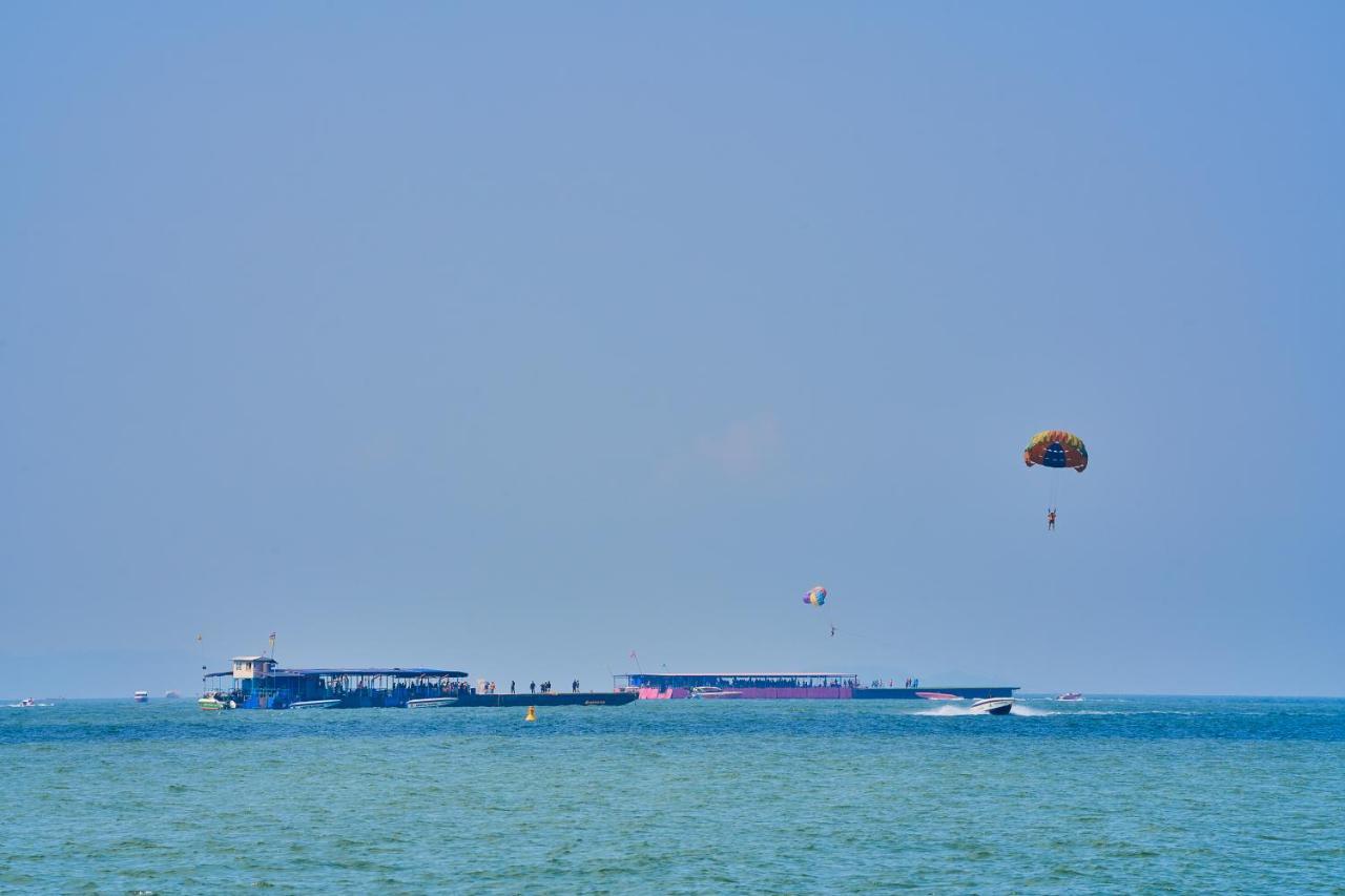 Floral - Dolphin Circle