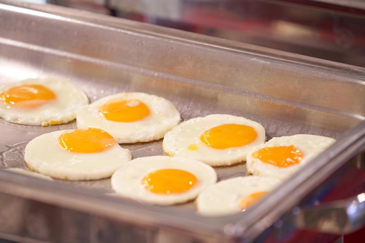 Resort Floral - Dolphin Circle